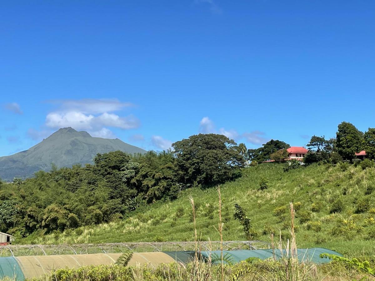 Chambre Et Sdb Privative Ylang Ylang Vue Mont Pelee Dans Maison Partagee Le Morne-Rouge Εξωτερικό φωτογραφία